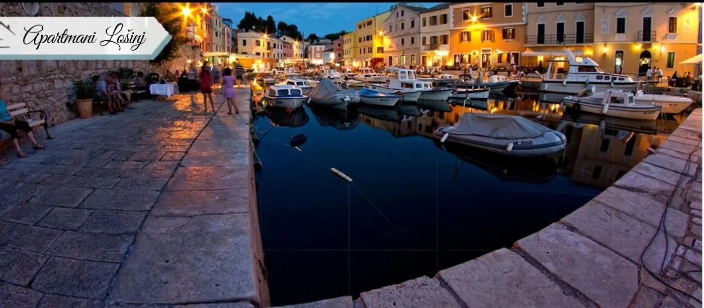 Studio Apartment In Mali Losinj With Terrace, Air Conditioning, Wifi, Washing Machine 4913-2